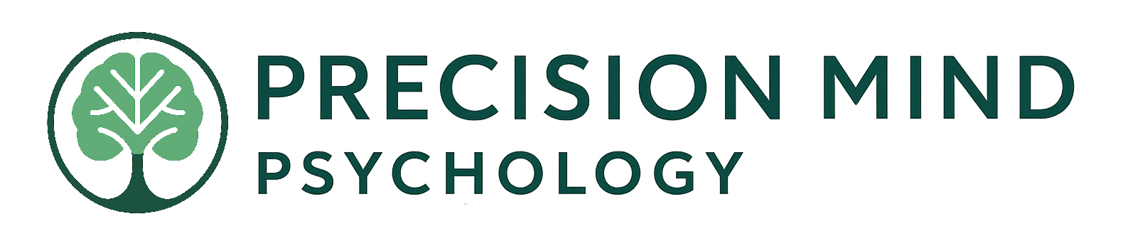 Precision Mind Psychology Website Banner